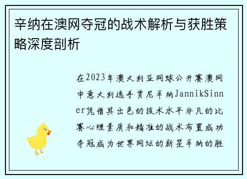 辛纳在澳网夺冠的战术解析与获胜策略深度剖析